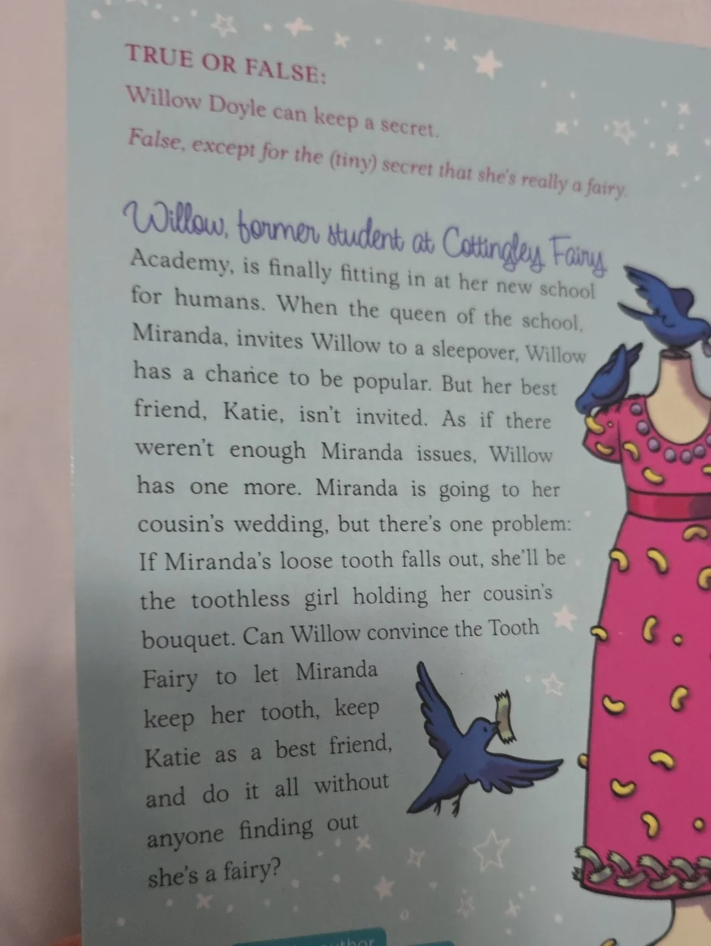 Fourth Grade Fairy- Wishes For Beginners By Eileen Cook